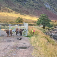 Glencoe & Glen Etive