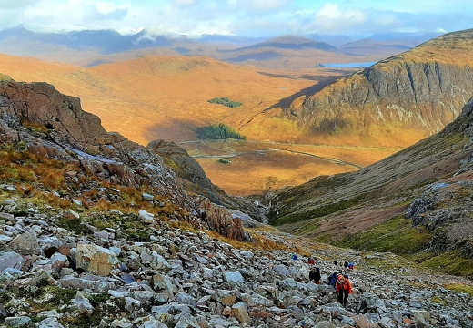 Fionas last munro