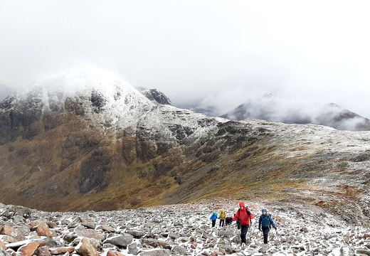 Fionas last munro