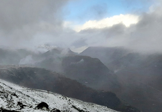 Fionas last munro