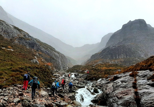 Fionas last munro