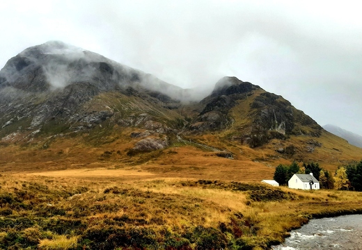 Fionas last munro