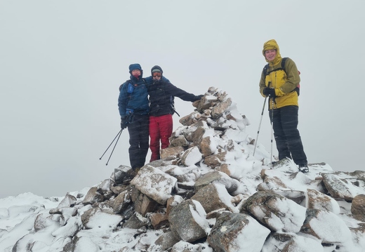 Fionas last munro