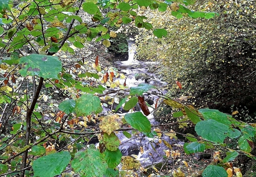 A circuit of Dollar Glen, King's Seat, Tarmangie and Whitewisp.