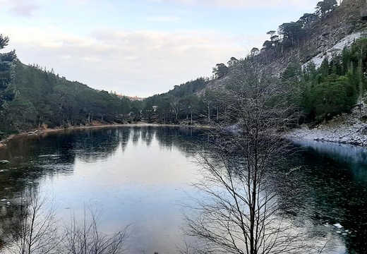 Ryvoan walk Dec 11th (662 visits) Ryvoan walk Dec 11th