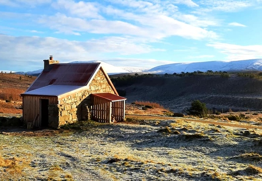 Ryvoan walk Dec 11th (678 visits) Ryvoan walk Dec 11th