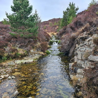Muir Cottage meet Day 1 & 2