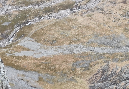Malcolm Smith on Castle Ridge (363 visits) Malcolm Smith on Castle Ridge