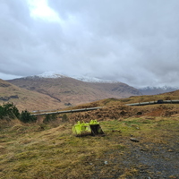 Davys last Corbett 29th March