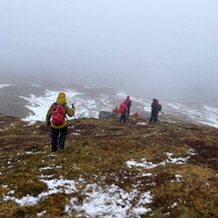 Davys last Corbett 29th March