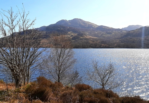 Cycling Trips