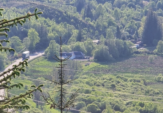Cottage from track above pylons (236 visits) Cottage from track above pylons