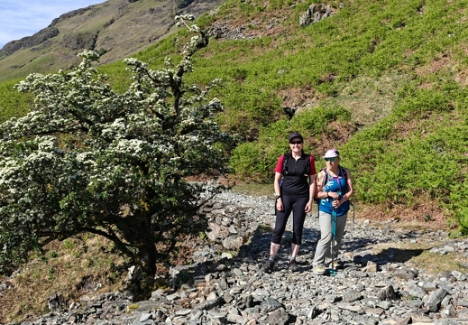 Borrowdale trip May See filename Borrowdale trip May