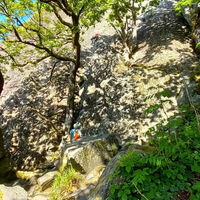 Ken on Brown slabs