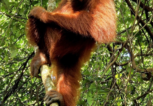 Photo Competition 2025