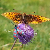 MarkA-Nature-1