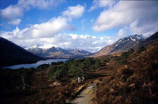 glen_affric.jpg