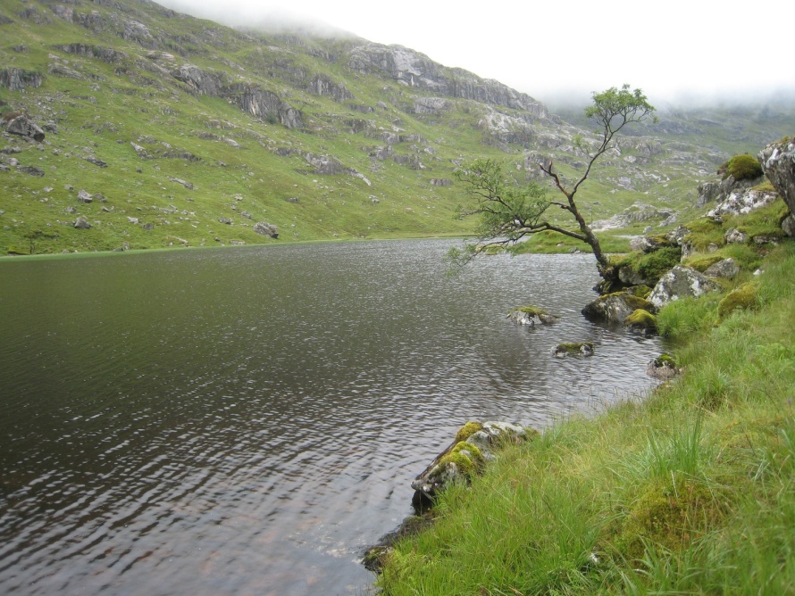 Lochan