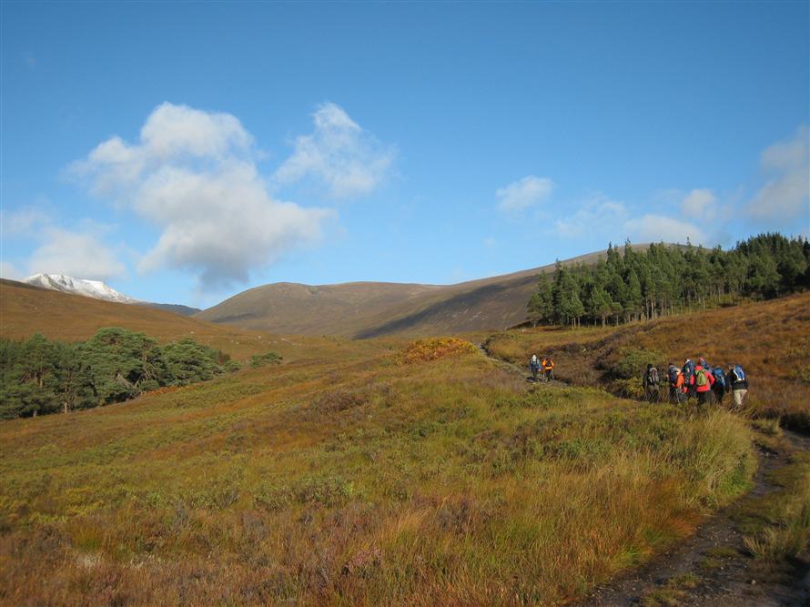 Track to Tom a' Choinich