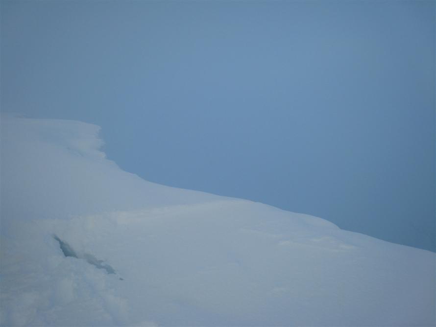 Extensive cornice (hole made by guy's leg!)