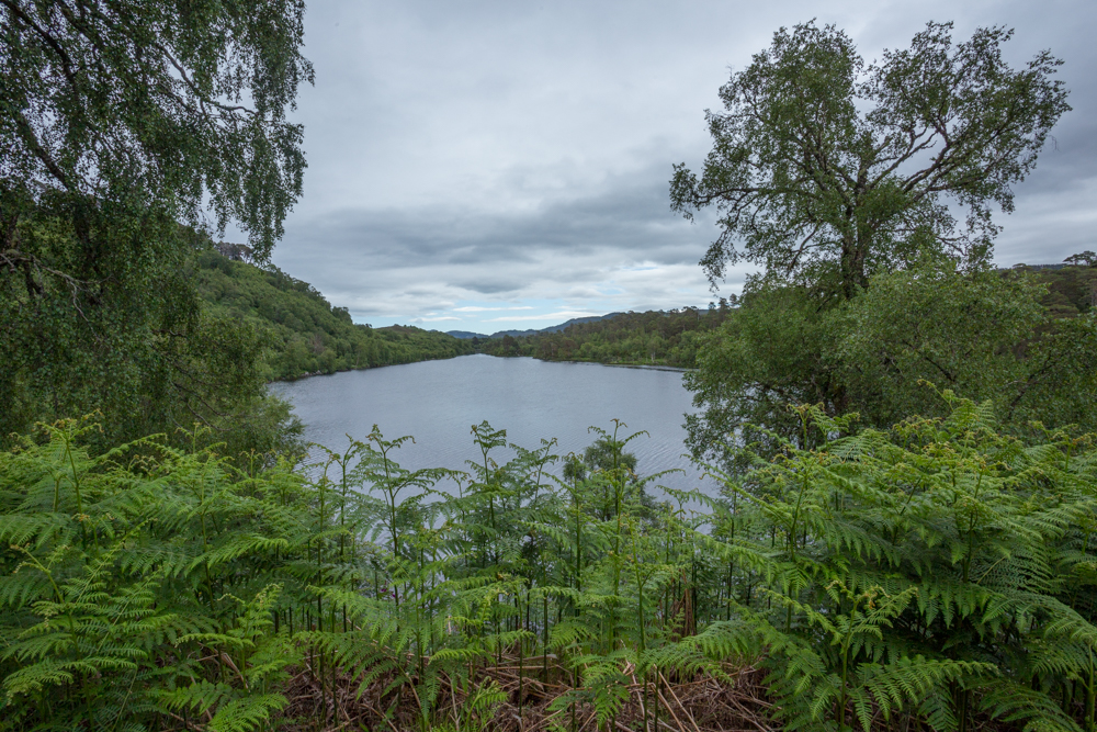Loch Affric